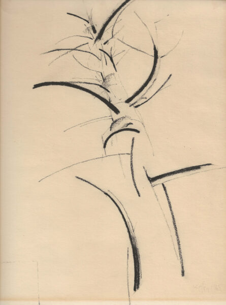 drawing, Tree, by Harold Keller